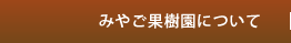 �݂₲�ʎ����ɂ���