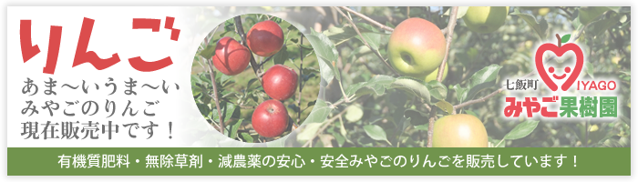 りんご、販売中です！10月初旬から